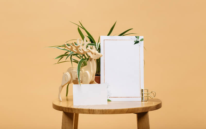 Hospital visitation and companion service