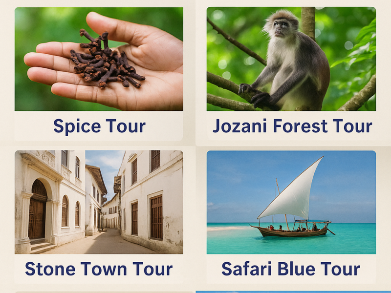 COUNSELING,PERSONAL ASSISTANCE AND WEBSITE BUILDING