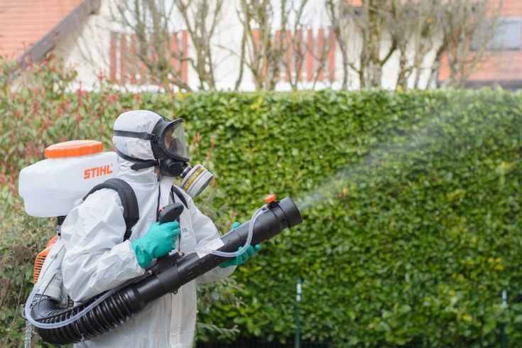 Wataalamu wa Kudhibiti, Kuua na Kufukuza Wadudu Majumbani, Maofisini na Maeneo Mengine (Fummigation Services)